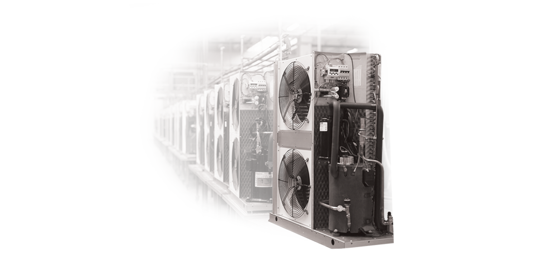     prve enote Clivet leta 1990
