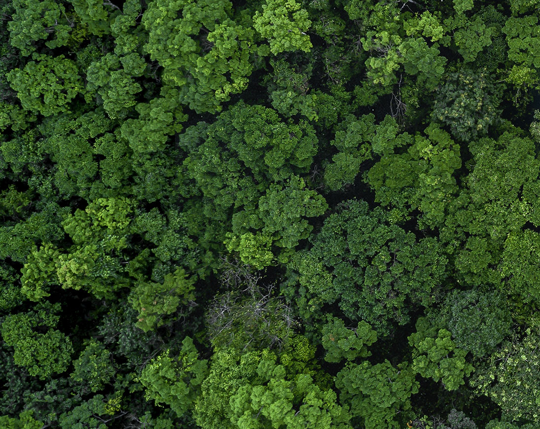 R290 heat pump and radiators:  higher efficiency with propane