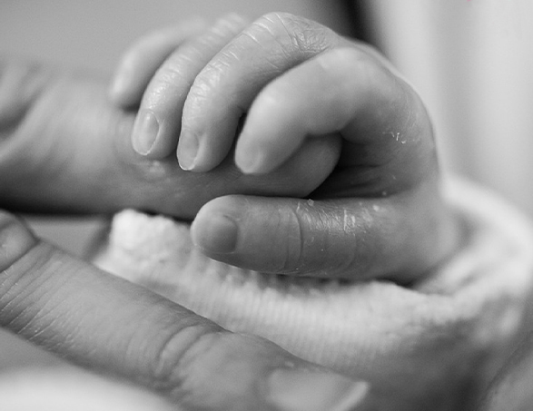 hands of a baby and a mother
